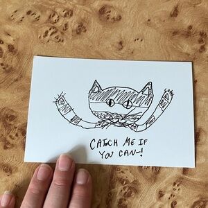 Catch Me If You Can Cat Toy